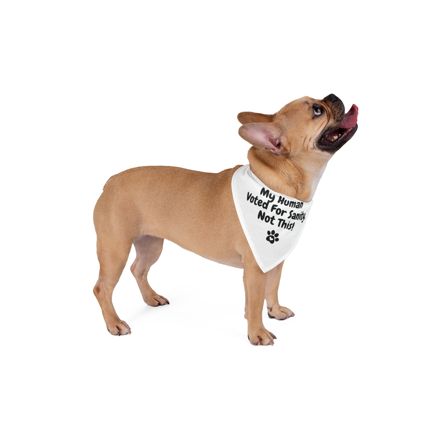 "My Human Voted for Sanity, Not This!" – Pet Bandana