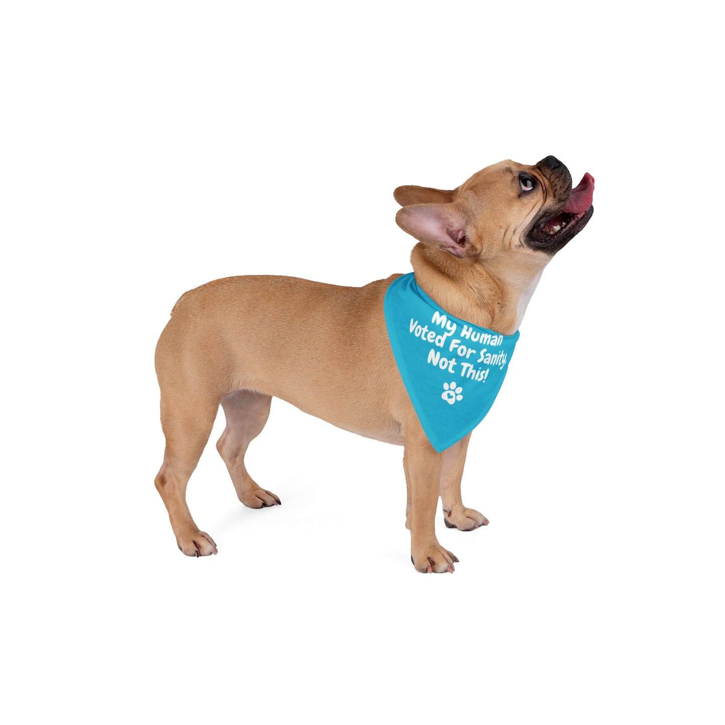 "My Human Voted for Sanity, Not This!" – Pet Bandana