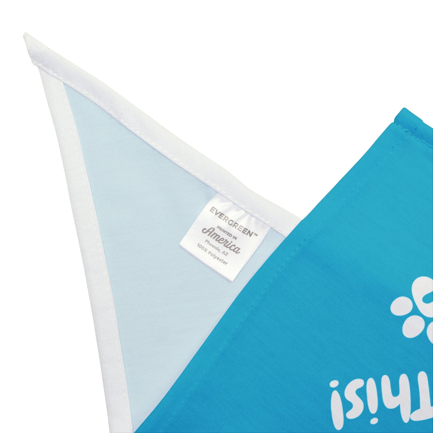 "My Human Voted for Sanity, Not This!" – Pet Bandana