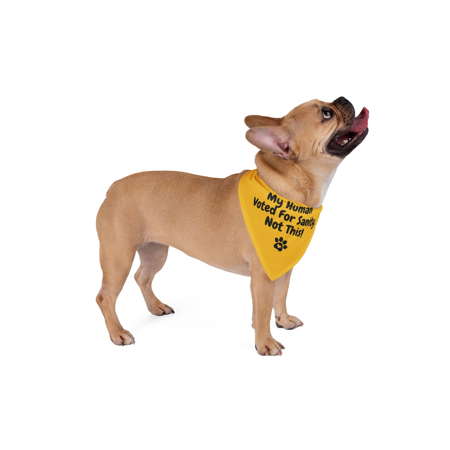 "My Human Voted for Sanity, Not This!" – Pet Bandana
