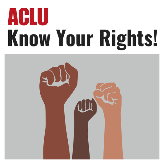 Our Pick for Quarter 3: Why the ACLU Deserves the Mic (and the Donation)