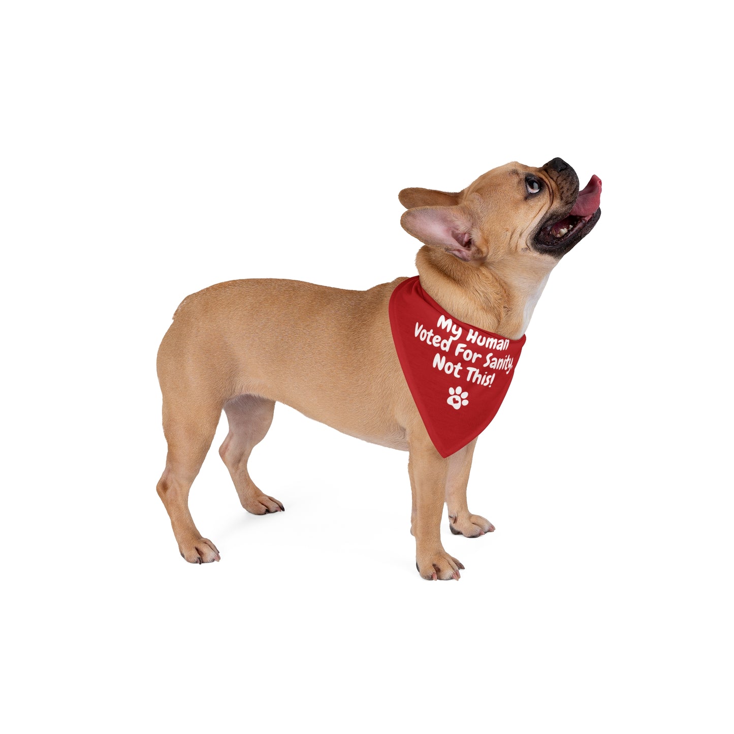 "My Human Voted for Sanity, Not This!" – Pet Bandana
