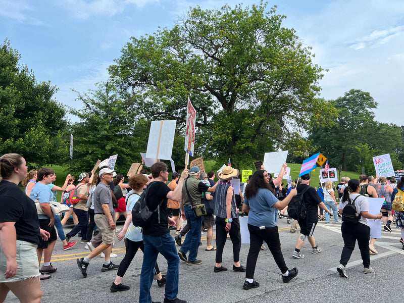A crowd of people marching in a street protest for democracy under a blue sky with green trees, holding signs and banners.