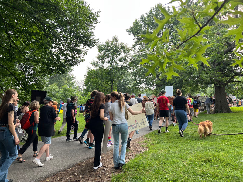A crowd of people walking and protesting along a paved path in a park with green trees and grass, carrying a sign. A small dog is visible on the grass to the right.